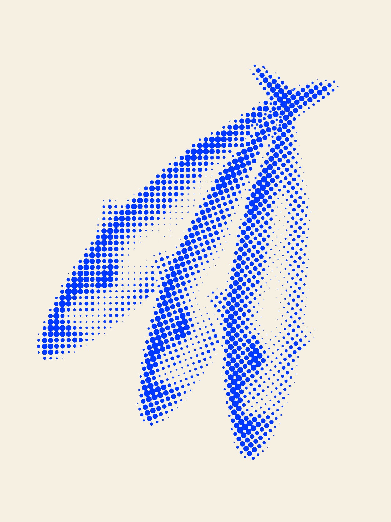 Three fish graphic