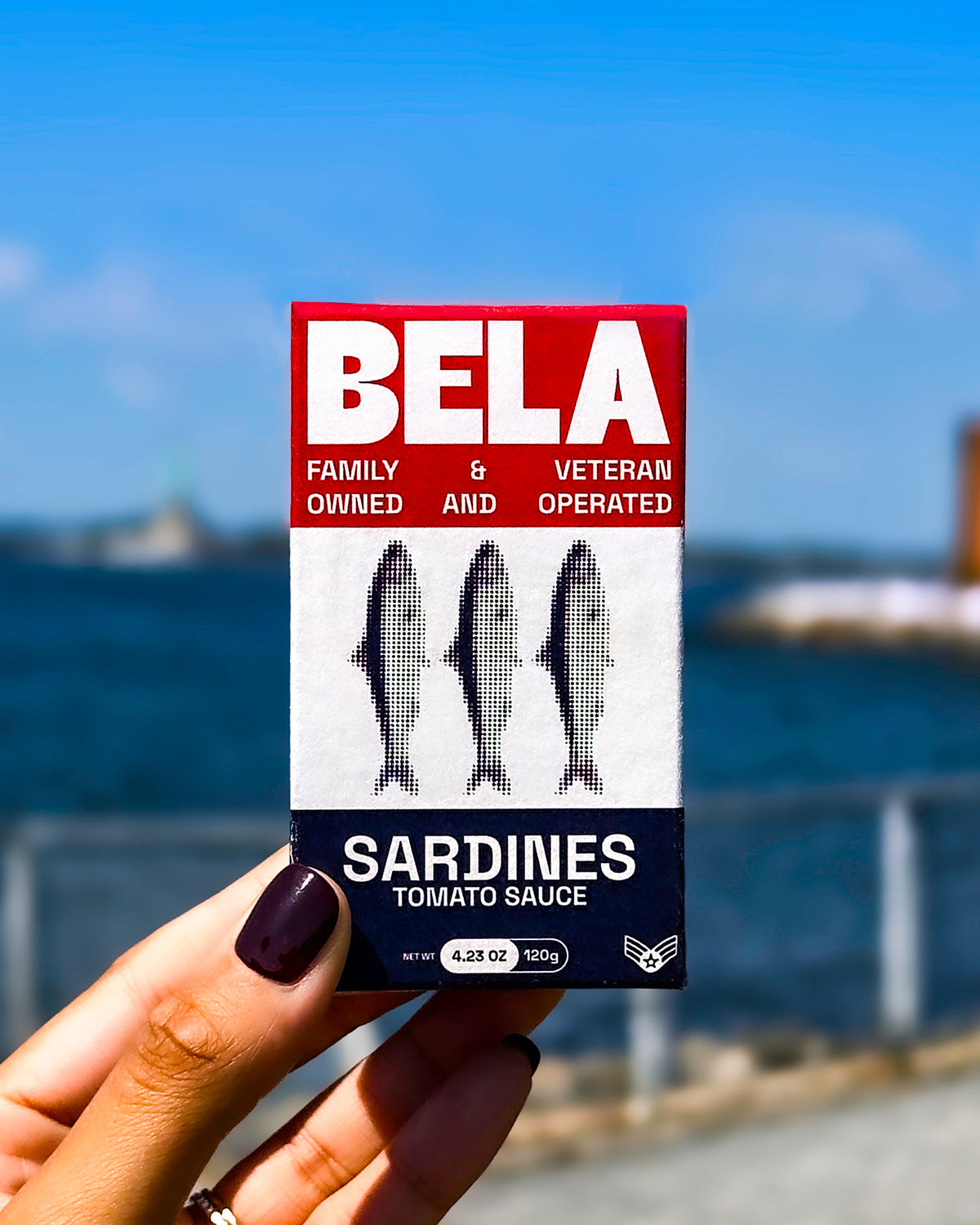The Veterans Tin: Sardines in Tomato